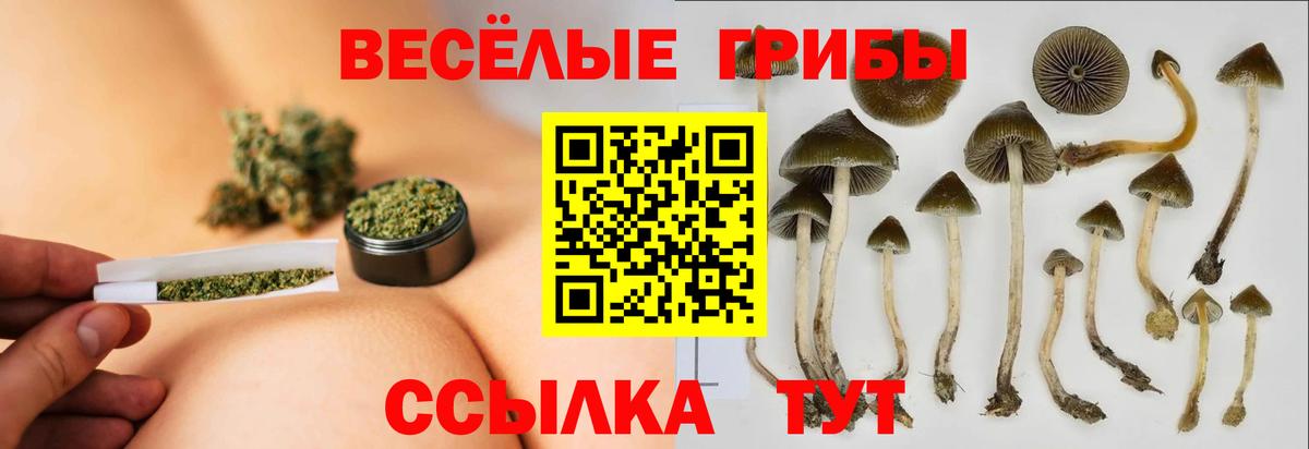 Псилоцибиновые грибы ЛСД Новотроицк